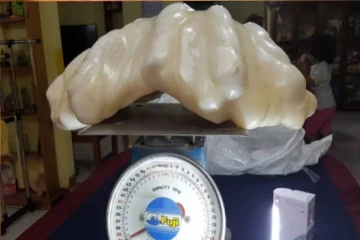Philippines : 10 ஆண்டுகள் படுக்கைக்கு அடியில் இருந்த பல கோடி மதிப்புள்ள அரிய முத்து!