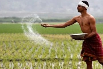 மேலும் 65,000 மெற்றிக் தொன் யூரியா நாட்டுக்கு