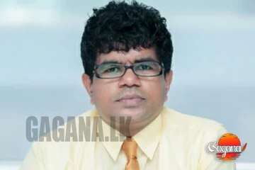 තුසිත හල්ලොලුවගේ සිද්ධිය ගැන සැකකරුවෙකුගෙන් රහස් ප්‍රකාශයක්