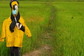 தமிழர் பகுதியில் நிகழ்ந்த அதிர்ச்சி சம்பவம் ; 39 லட்சம் ரூபாய் மதிப்பிலான நெல் திருட்டு