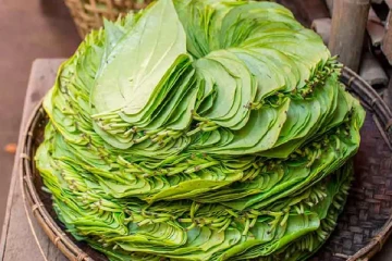 வெற்றிலை கொதிக்க வைத்த தண்ணீரில் இத்தனை நன்மைகளா..? கட்டாயம் தெரிஞ்சிகோங்க