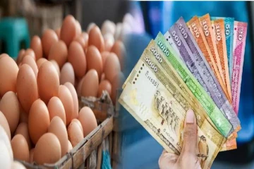 முட்டை விலை தொடர்பில் அமைச்சின் தீர்மானம்