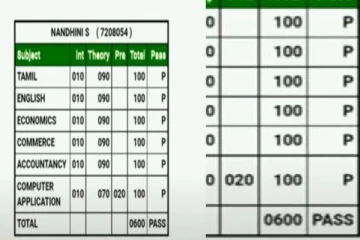 12ம் வகுப்பு பொதுத் தேர்வு முடிவுகள் : 600 க்கு 600 மதிப்பெண்கள் பெற்று அரசு பள்ளி மாணவி சாதனை