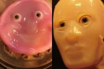 உயிருள்ள மனித தோலுடன் புன்னகைக்கும் ரோபோ: ஜப்பானிய விஞ்ஞானிகள் அசத்தல்