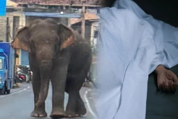 மட்டக்களப்பில் அதிகாலை இடம்பெற்ற அசம்பாவிதம்; அச்சத்தில் மக்கள்