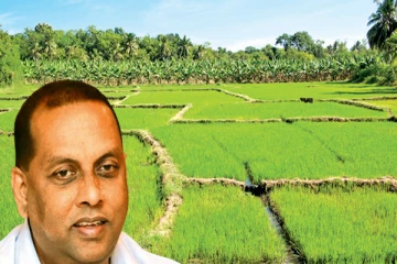 தரிசு நிலப் பயன்பாடு தொடர்பில் விவசாய அமைச்சு வெளியிட்டுள்ள தகவல்