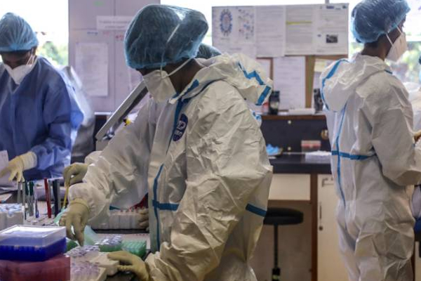 இலங்கையில் பரவிவரும் அதி பயங்கரமான வைரஸ்! | The Most Terrible Virus Spreading In Sri Lanka