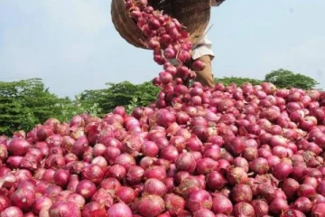 அதிரடியாக உயரும் வெங்காய விலை.., இந்திய அரசு எடுத்துள்ள முக்கிய நடவடிக்கை
