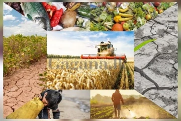 ලෝකයටම ආහාර හිගයක අවදානමක් ..