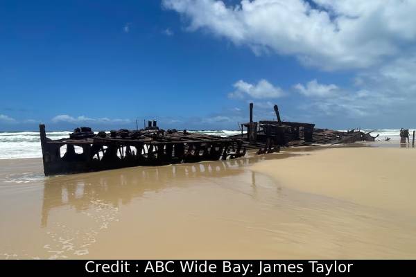 காட்டு நாய்கள் சூழ சுயநினைவிழந்து கிடந்த கனேடிய பெண்: உயிரிழந்தது எப்படி? | Autopsy Reveals Canada Girl Not Killed By Dingoes