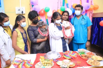 கோவையில் பூனைகளுக்கு வளைகாப்பு நடத்திய தம்பதி - வைரலாகும் புகைப்படம்