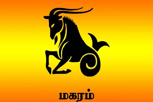 300 ஆண்டுகள் கழித்து மகா சிவராத்திரியில் அதிர்ஷ்டம் பெறும் ராசிக்காரர்கள் | Zodiac Signs That Will Get Lucky Maha Shivaratri