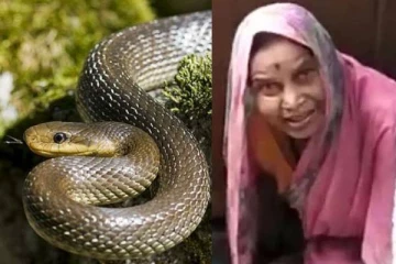 உயிரிழந்த கணவர் மறுபிறவி எடுத்து வந்துவிட்டார்! நாகப்பாம்புடன் வாழ்ந்த பெண்... அதிர்ச்சி சம்பவம்