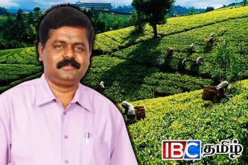 மலையக மக்களுக்காக குரல் கொடுத்த சிறீதரன் எம்பி: விடுக்கப்பட்டுள்ள கோரிக்கை