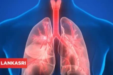 உங்க நுரையீரலை மூன்றே நாட்களில் எளிமையான முறையில் சுத்தம் செய்யனுமா? இதை மட்டும் சாப்பிடுங்க போதும்