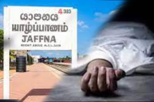 யாழில் நோயாளர் காவு வண்டி மோதி விபத்து: வர்த்தகர் உயிரிழப்பு - ஐபிசி தமிழ்