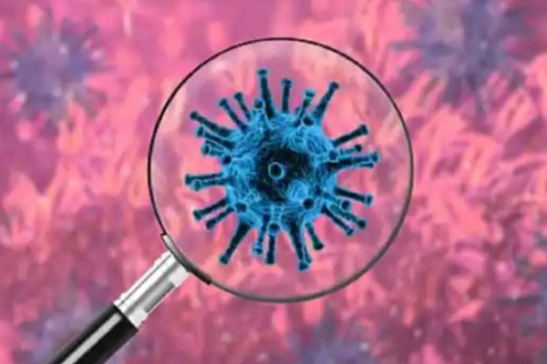 மிரட்டும் ஒமைக்ரான் : மீண்டும் ஆன்லைன் வகுப்புகளை நடத்த முதலமைச்சர்  ஆலோசனை - தமிழ்நாடு