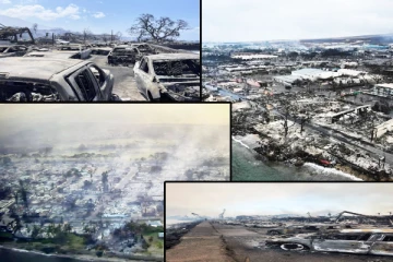 ஹவாய் தீவில் பயங்கர காட்டுத்தீ: உயிரிழப்பு எண்ணிக்கை சடுதியாக அதிகரிப்பு