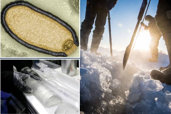 பேராபத்து: பனியில் உறைந்து கிடக்கும் ஜாம்பி வைரஸ் - விஞ்ஞானிகள் வார்னிங்! - தமிழ்நாடு