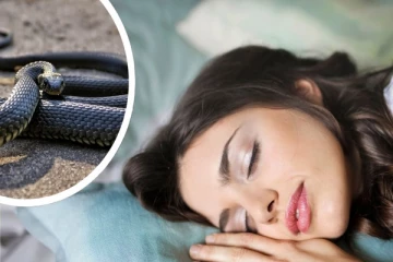 பாம்பை கனவில் கண்டால் சாதாரணமாக எடுத்துக் கொள்ளாதீர்கள்