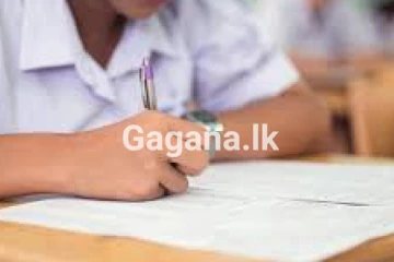 NVQ සහතික නිකුත් කරන ආයතන 81ක් අත්හිටුවයි..!