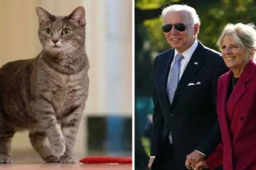 அமெரிக்காவின் வெள்ளை மாளிகைக்கு வருகை தந்த புது விருந்தாளி