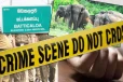 மட்டக்களப்பில் காட்டு யானை தாக்கி பெண் ஒருவர் பலி!
