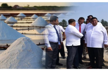 மன்னார் தேசிய உப்பு நிறுவனத்திற்கு கைத்தொழில் இராஜாங்க அமைச்சர் விஜயம் (video)