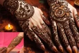 Mehndi Designs: கைகளை அழகாக்கும் மருதாணி எப்படி இலகுவாக போடலாம்?