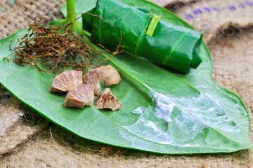 ஒரே ஒரு வெற்றிலையில் இவ்வளவு மருத்துவமா? இனி தினமும் சாப்பிடுங்க!