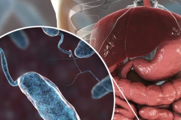 ලොව පුරා මිලියන ගණනක් අනතුරේ හෙළමින් යළිත් වසංගතයක් හිස ඔසවයි - WHO අනතුරු අගවයි..!