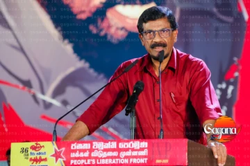 අපිත් එක්ක සෙල්ලම් දාන්න එපා - ටිල්වින් විපක්ෂයට දෙහි කපයි [VIDEO]