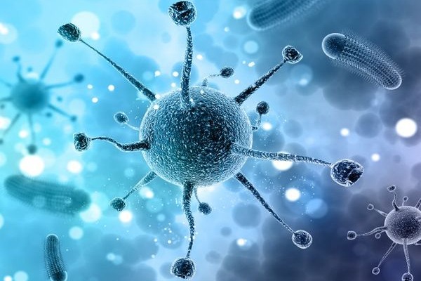 காய்ச்சல் எதிரொலி - புதுச்சேரி பள்ளிகளுக்கு விடுமுறை! | Puducherry Govt Has Announced Holiday Schools