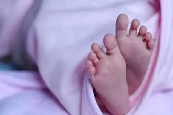 காய்ச்சல் காரணமாக எட்டு நாள் குழந்தை உயிரிழப்பு | Jaffna Baby Death Investigation