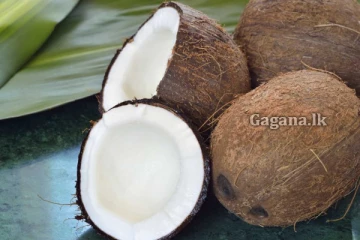 පොල් හිඟයට විසඳුමක්