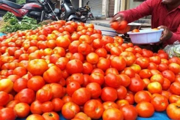 கனமழை எதிரொலி: 1 கிலோ தக்காளி விலை ரூ.120 வரை கிடுகிடு உயர்வு