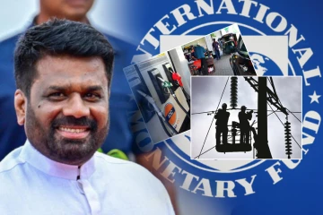 மின்சாரம் - எரிபொருள் செலவினத்திற்கேற்ற விலை நிர்ணயம்.. ஜனாதிபதி வழங்கியுள்ள உறுதி