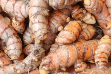 திடீர் திடீரென்று காணாமல் போகும் சான்றுப் பொருட்கள்!!