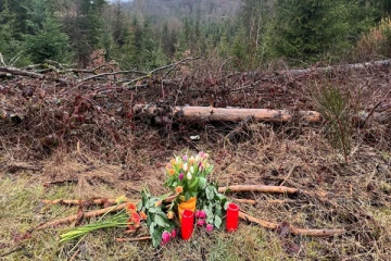 கொடூரமாக குத்திக்கொல்லப்பட்ட மாணவி: குற்றவாளிகள் யார் என தெரியவந்ததால் அதிர்ச்சியில் ஜேர்மனி