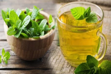 தினமும் காலையில் ஊறவைத்த புதினா தண்ணீர் குடிங்க - நன்மைகள் ஏராளம்