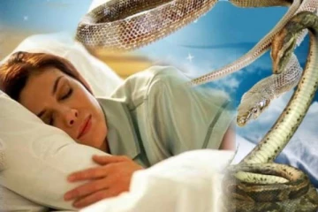 கனவில் அடிக்கடி பாம்பை கண்டால் இது தான் காரணமா? கட்டாயம் தெரிஞ்சிக்கோங்க