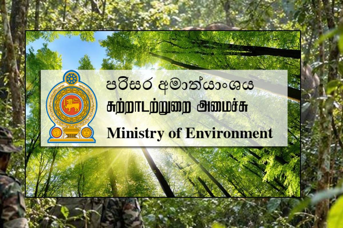 காணாமல் போன காணாமல் போன
