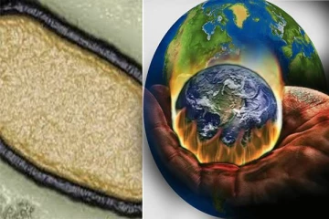 உலகளவில் பரவப்போகும் ஜாம்பி வைரஸ் : புவி வெப்பமயமாதலால் அடுத்த சம்பவம்