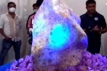 ஆசியாவின் ராணியை விற்பனை செய்வது தொடர்பில் வெளியான தகவல்