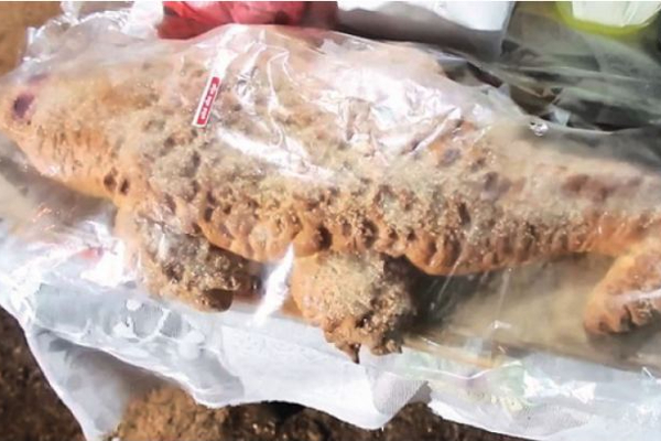 இலங்கையில் 23,200 ரூபாவுக்கு விற்பனை செய்யப்பட்ட பனிஸ்..! | Bun Virpanai 2300Rs Sri Lankan Auction