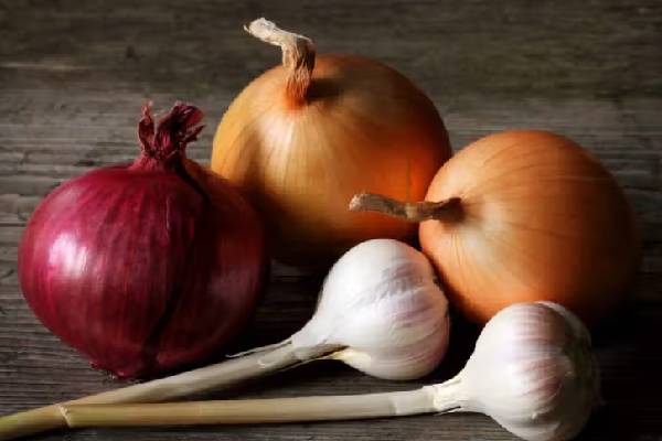 வெங்காயம், பூண்டு சாப்பிட தடையா! என்ன காரணம்னு தெரியுமா? | Which City Ban On Eating Onions Garlic Why வெங்காயம், பூண்டு சாப்பிட தடையா! என்ன காரணம்னு தெரியுமா? | Which City Ban On Eating Onions Garlic Why