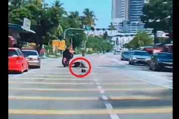 மோட்டார் சைக்கிளில் சென்ற பெண்ணை நடுரோட்டில் விழவைத்த தேங்காய்!