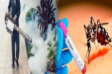 டெங்கு பரவலை கட்டுப்படுத்த அவசர நடவடிக்கை ; 14 மாவட்டங்களுக்கு அமைச்சர் உத்தரவு