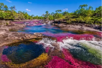 வானவில் நிறத்தில் ஏரியா? கண்னை கவரும் இந்த அதிசயம் எங்கு நடக்கிறது தெரியுமா!