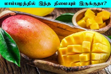 மாம்பழம் சாப்பிட்டால் தீங்கு ஏற்படுமா? தெரிந்து கொள்ள வேண்டிய விடயம்